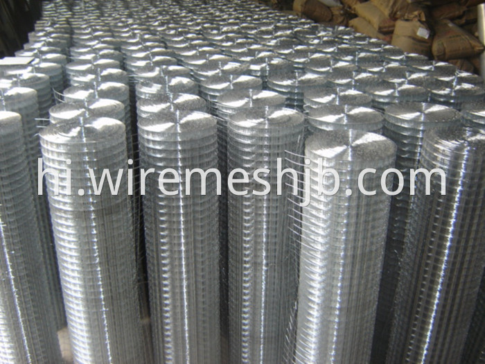 Galvanized Welded Wire Mesh 